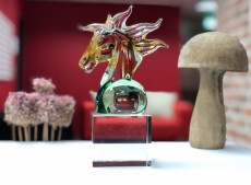 台灣首場AbbottWMM分齡世界冠軍資格賽在日月潭環湖馬拉松
