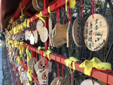 居家防疫 這些用品與器具一定要備齊